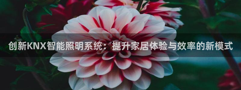 云顶集团简介