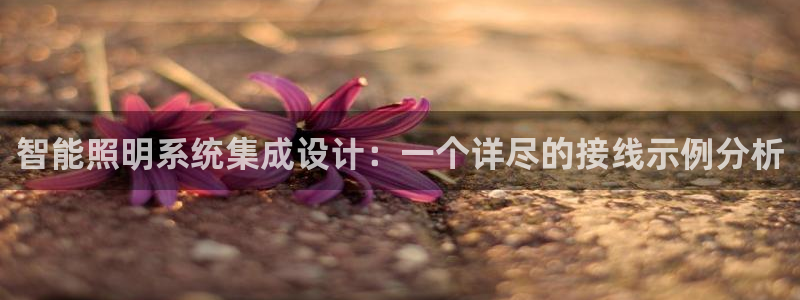 云顶国际二手房