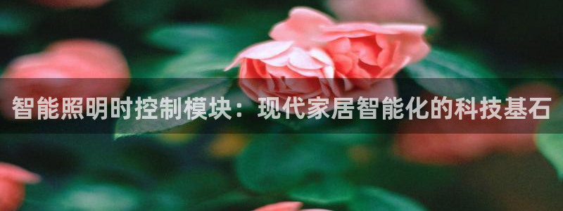 云顶国际官方网站下载手游