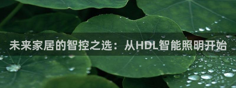 云顶国际的网址是多少