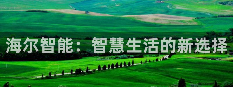 云顶国际提现多久到账户