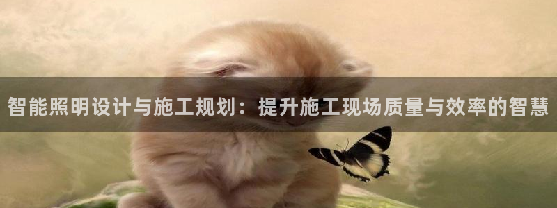 云顶国际的网址是多少位：智能照明设计与施