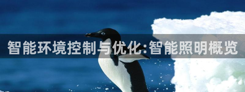 云顶国际是做什么的
