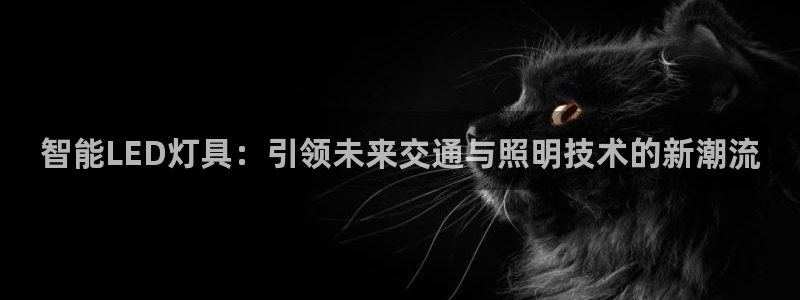 云顶国际电子游戏