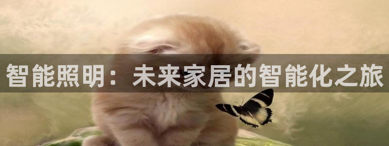 云顶国际在线登录