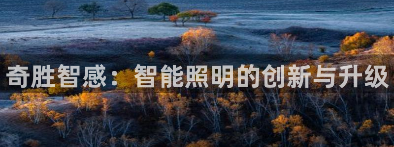 云顶国际服什么时候更新s8