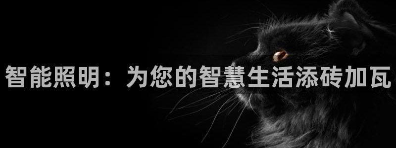 云顶国际app官网下载安装