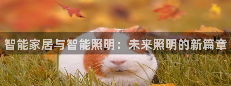 云顶国际是什么软件