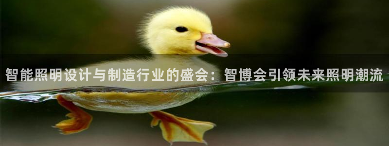 云顶12300线路