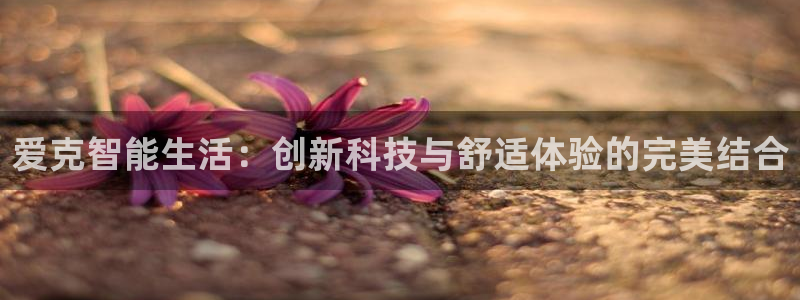 云顶国际app官方下载安装