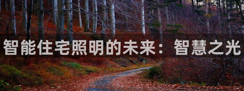 云顶集团 中国