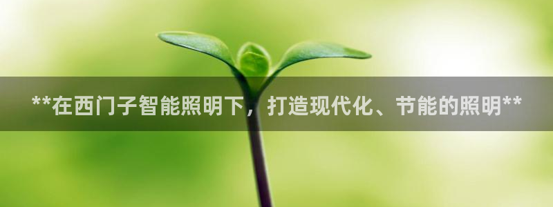 云顶国际服官网