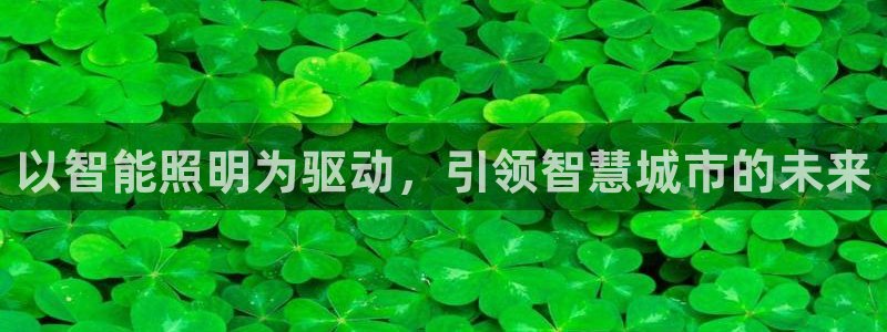 12311云顶线路检测