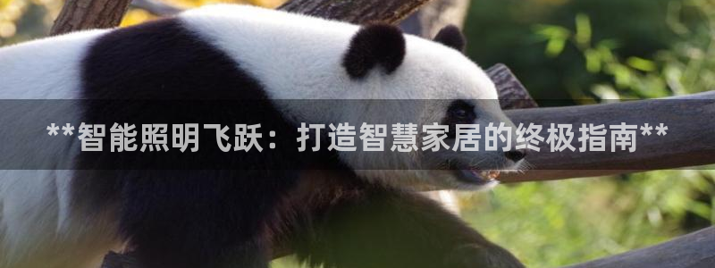 云顶国际商业广场 荣耀