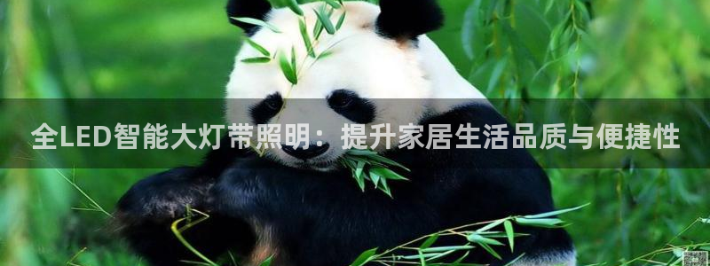 云顶国际部一年学费