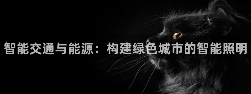 云顶国际广场附近银行：智能交通与能源：构